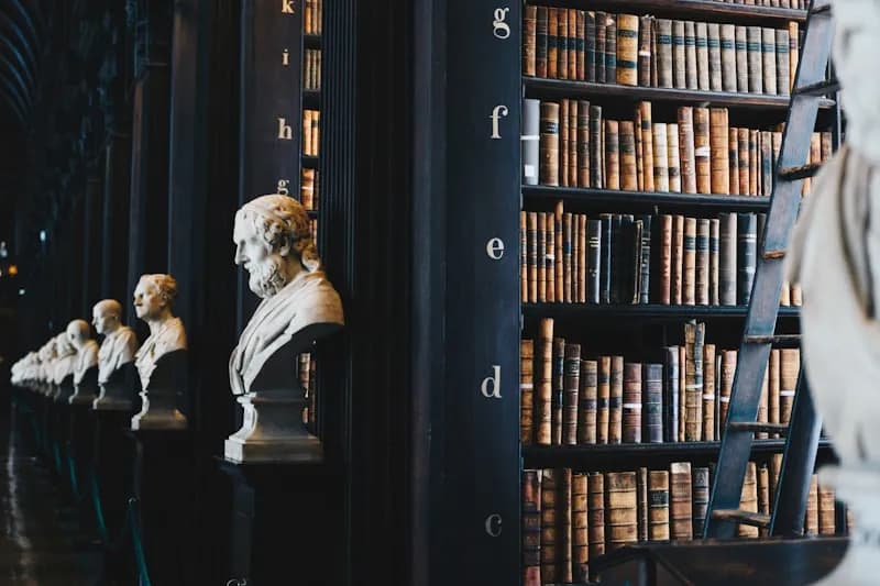 Moderne Kanzlei-Bibliothek mit juristischer Fachliteratur